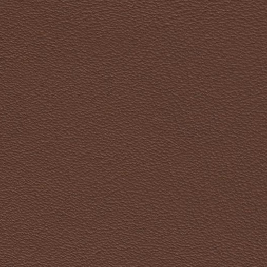 2023 Upholstery Leather Hide - 109 Mid Tan