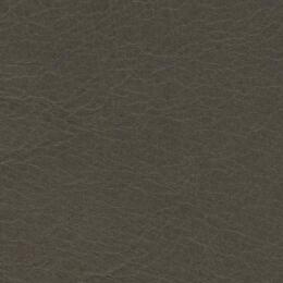 2023 Upholstery Leather Hide - 115 Greeny Beige 2