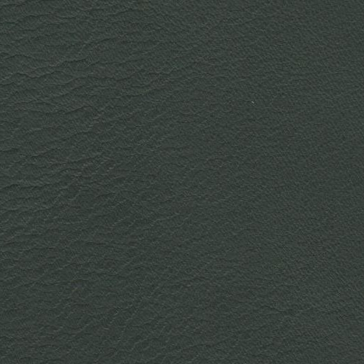 2023 Upholstery Leather Hide - 16 Glossy Green