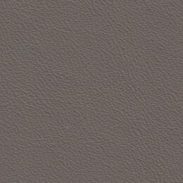 2023 Upholstery Leather Hide - 71 Smooth Beige