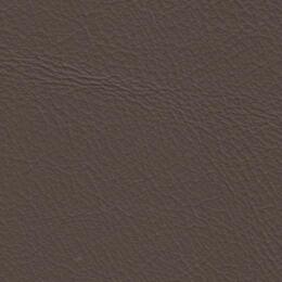 2023 Upholstery Leather Hide - 73 Smooth Beige Gloss