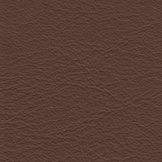 2023 Upholstery Leather Hide - 81 Smooth Tan