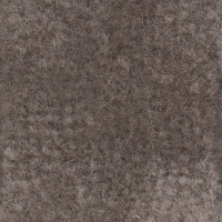 Superwool Carpet - Beige