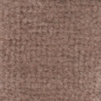 Superwool Carpet - Biscuit