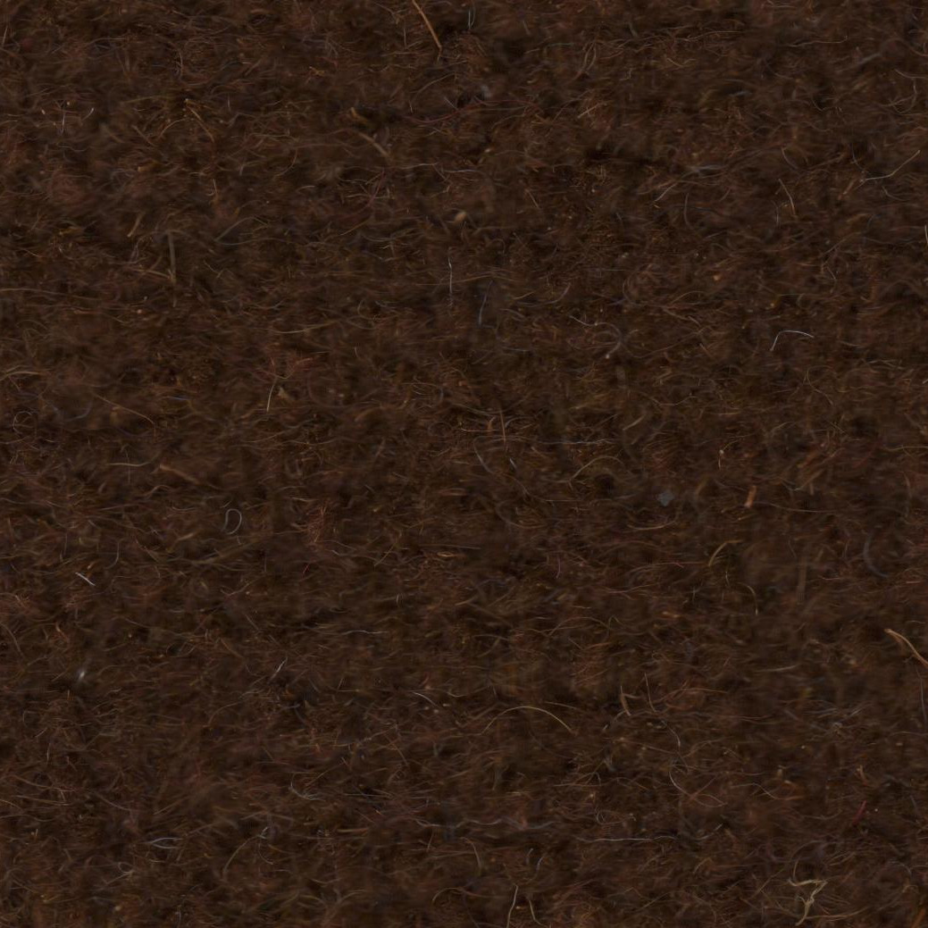 Wilton Wool Carpet - Tan