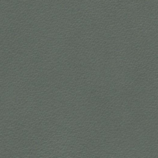 2023 Upholstery Leather Hide - 01 Matt Finish Mint