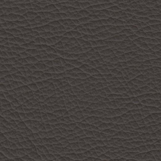 2023 Upholstery Leather Hide - 100 Browny Beige