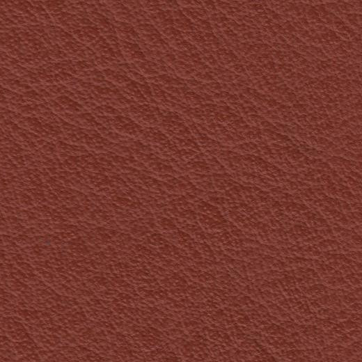 2023 Upholstery Leather Hide - 108 Rust