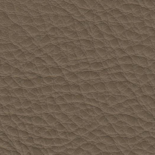 2023 Upholstery Leather Hide - 118 Barley Beige Pebble