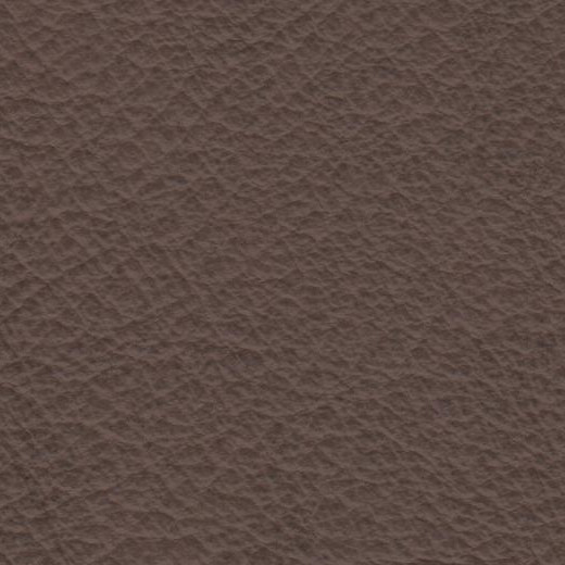 2023 Upholstery Leather Hide - 14 Vintage Beige