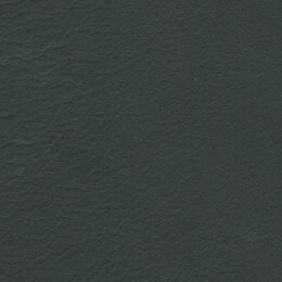 2023 Upholstery Leather Hide - 16 Glossy Green