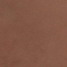 2023 Upholstery Leather Hide - 29 Matt Finish Tan