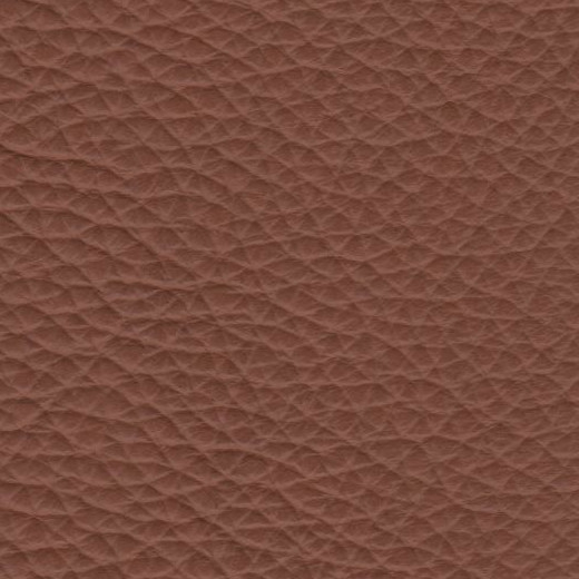 2023 Upholstery Leather Hide - 53 Pebble Tan