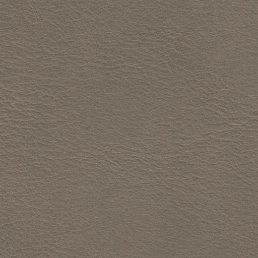 2023 Upholstery Leather Hide - 65 Smooth Beige