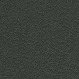 2023 Upholstery Leather Hide - 70 Matt Finish Green