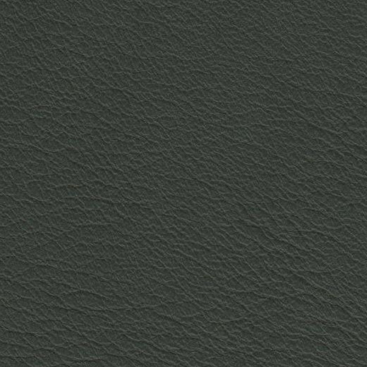 2023 Upholstery Leather Hide - 70 Matt Finish Green