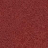 Antique Auto Hide - Russet Red