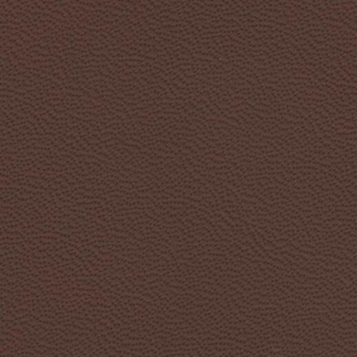 Porsche Leather - Chestnut Nappa