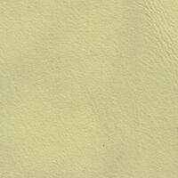 Premier Auto Hide - Primrose Yellow