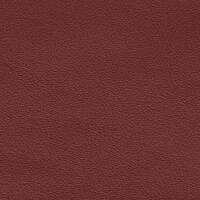 Premier Auto Hide - Cranberry