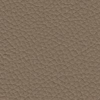 Grain Auto Hide - Jaguar Beige