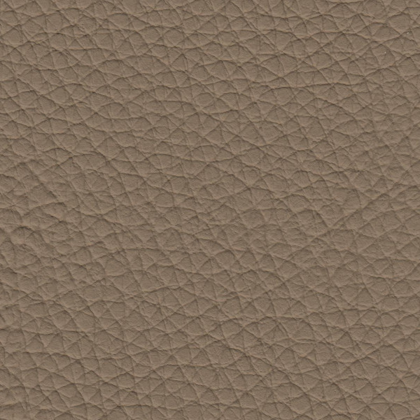 Grain Auto Hide - Jaguar Beige