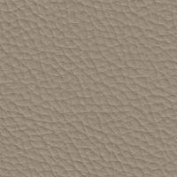 Grain Auto Hide - Light Stone Beige