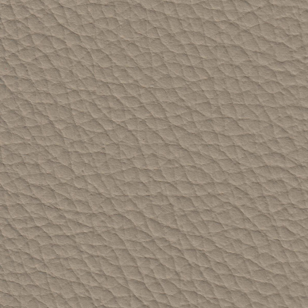 Grain Auto Hide - Light Stone Beige