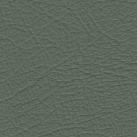 Grain Auto Hide - Porcelain Green