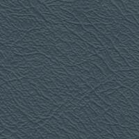 Vinide Leather Cloth - Jaguar Pale Blue