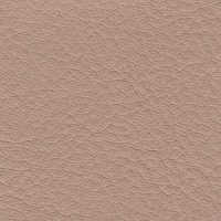 Auto Seat Vinyl - R Beige