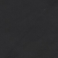 Clearance Leather Hide - Back flat nappa