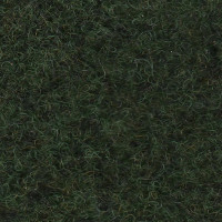 Astro Carpet - Green