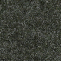 Astro Carpet - Mint Green