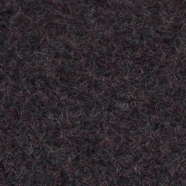 Astro Carpet - Purple