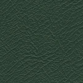 Vinide Leather Cloth - Apple Green