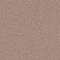 Vinide Leather Cloth - Old Beige